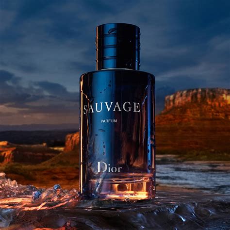 sauvage dior - parfum|dior sauvage cheapest price 100ml.